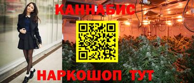 крисы Нальчик