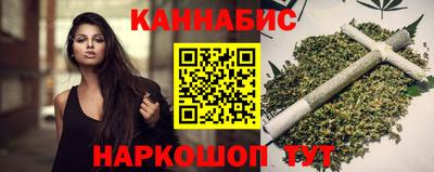 крисы Нальчик