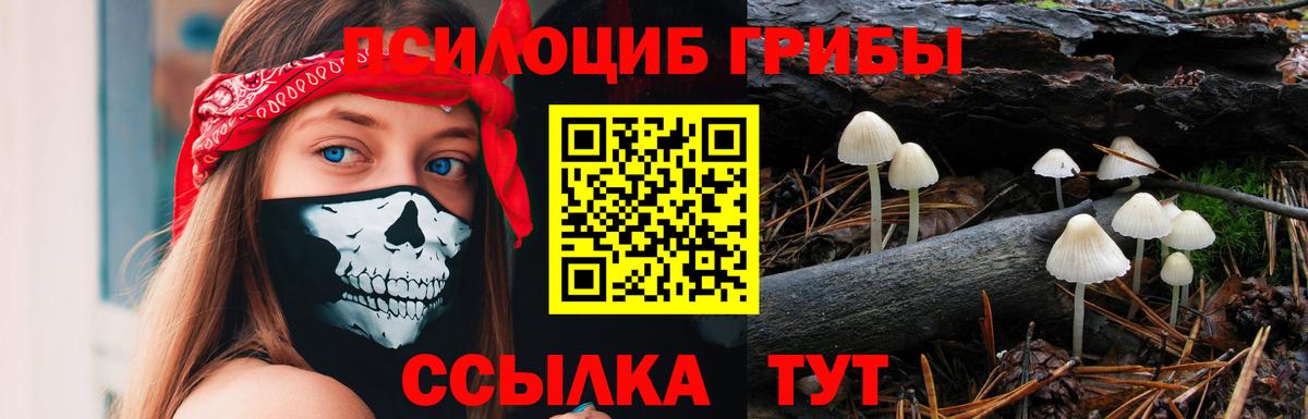 Псилоцибиновые грибы мицелий Черногорск